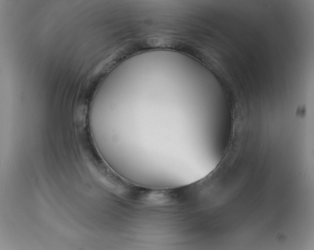 X0000113120171200909111148