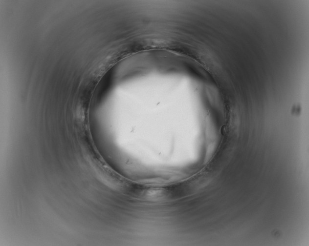 X0000113120173200909111148