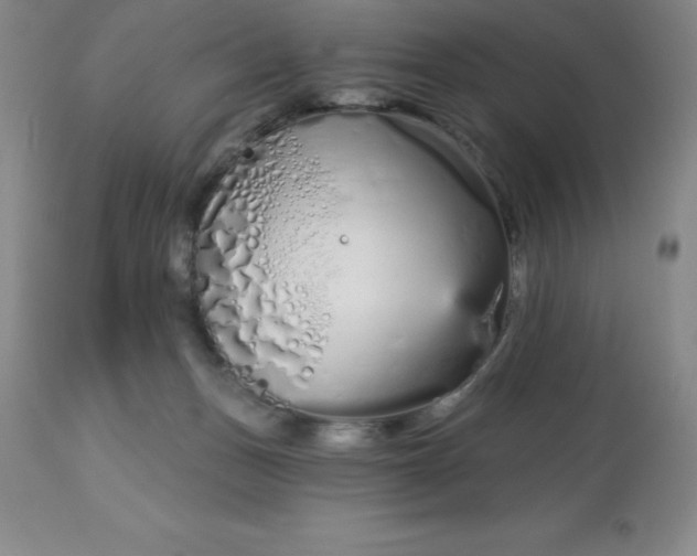 X0000113120175200909111148