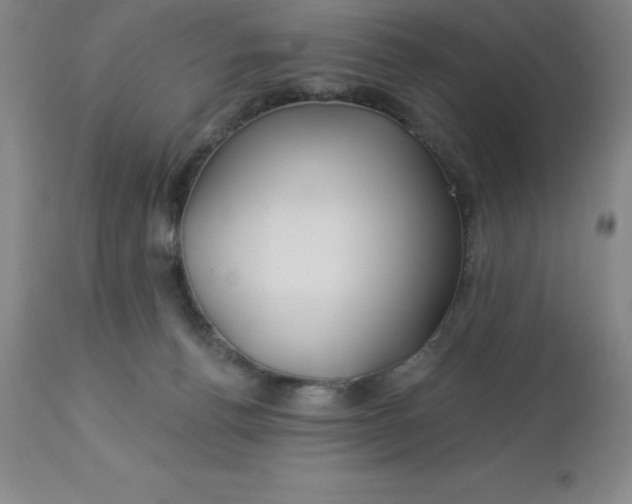 X0000113120176200909111148