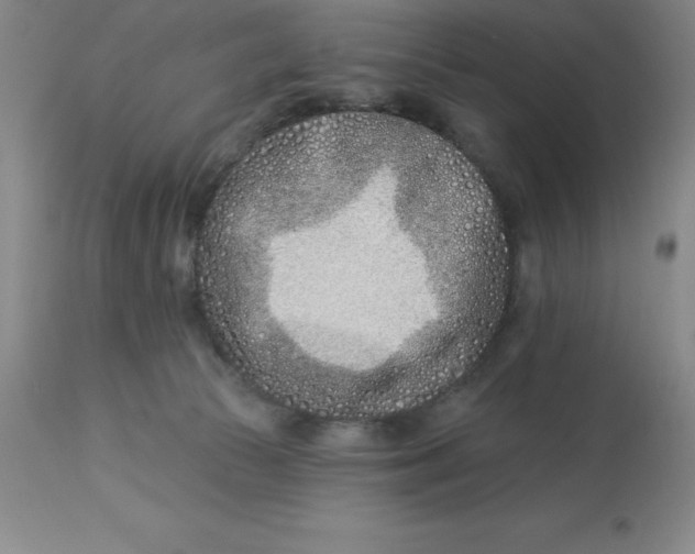 X0000113120177200909111148