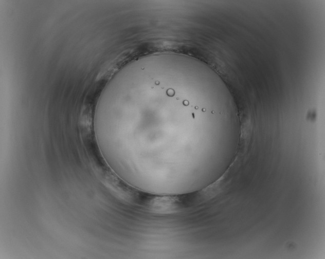 X0000113120179200909111148