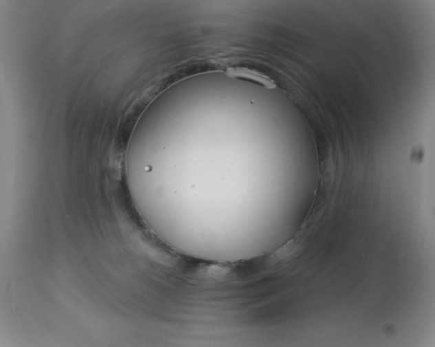 X0000113120180200909111148