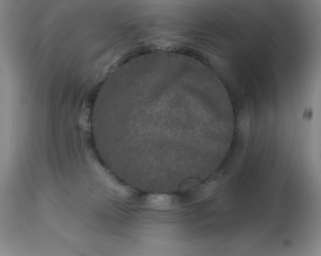 X0000113120181200909111148