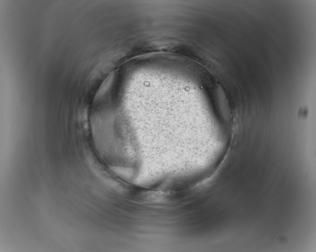 X0000113120182200909111148