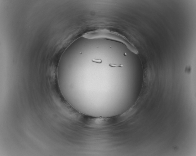 X0000113120184200909111148