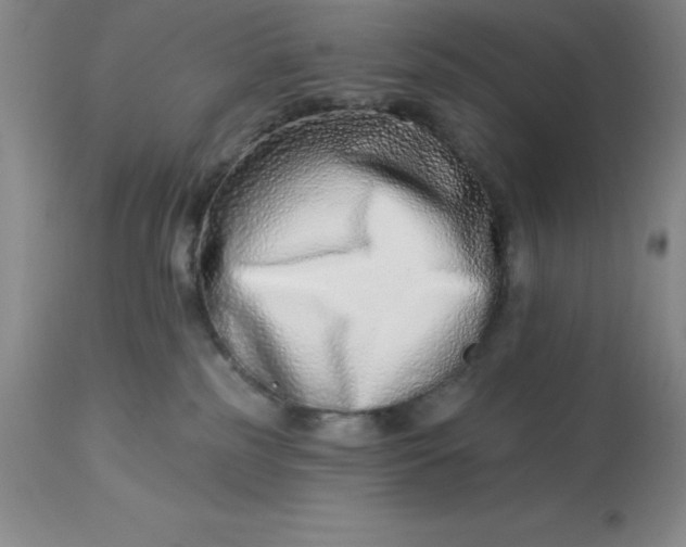 X0000113120185200909111148