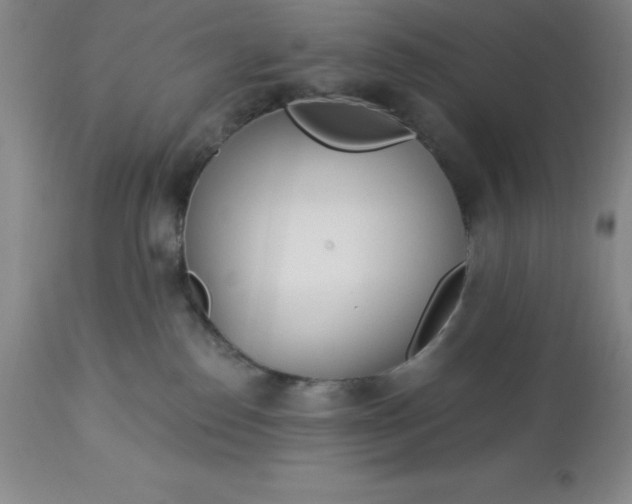 X0000113120186200909111148