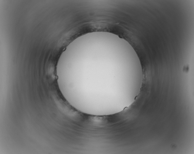 X0000113120187200909111148