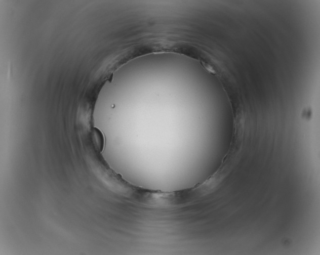 X0000113120188200909111148