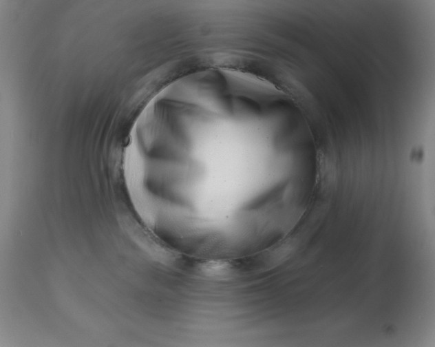 X0000113120189200909111148