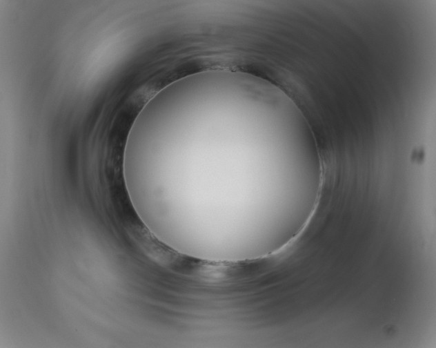 X0000113120190200909111148