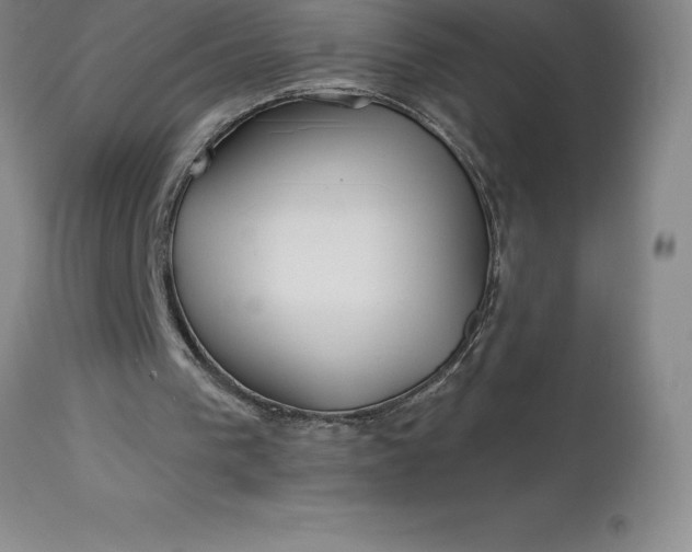 X0000113120193200909111148