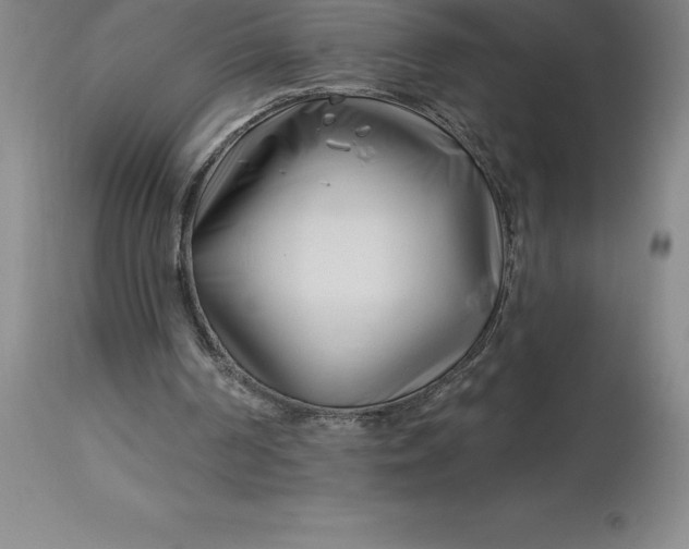 X0000113120194200909111148