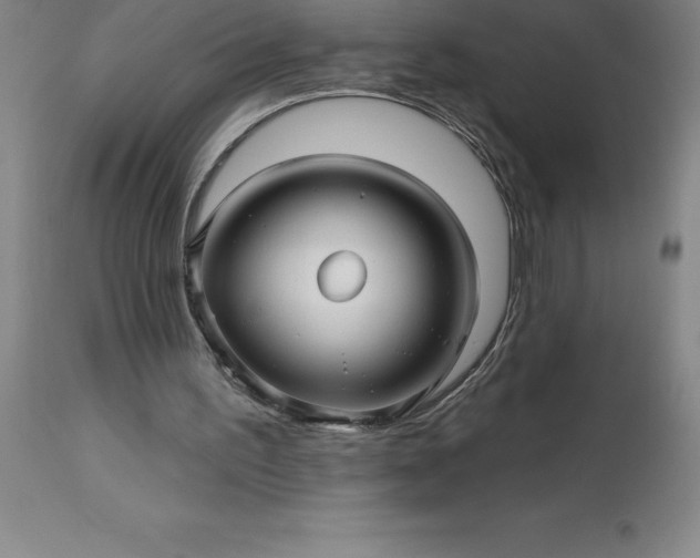 X0000113120195200909111148