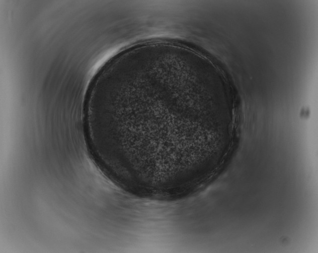 X0000113120196200909111148