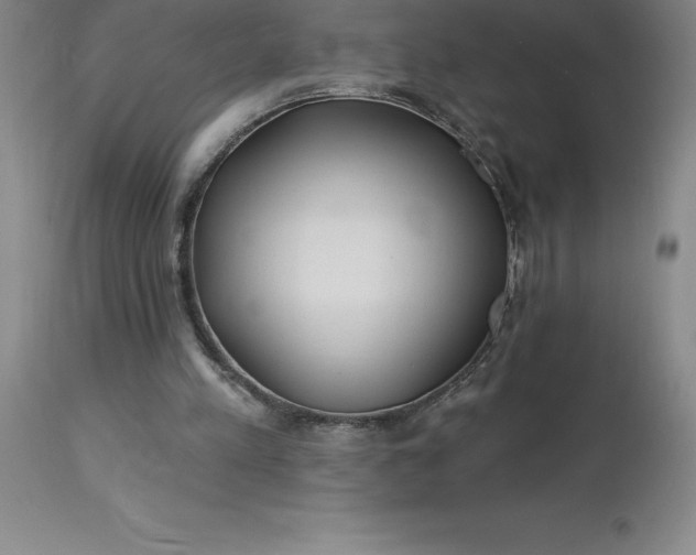 X0000113120197200909111148