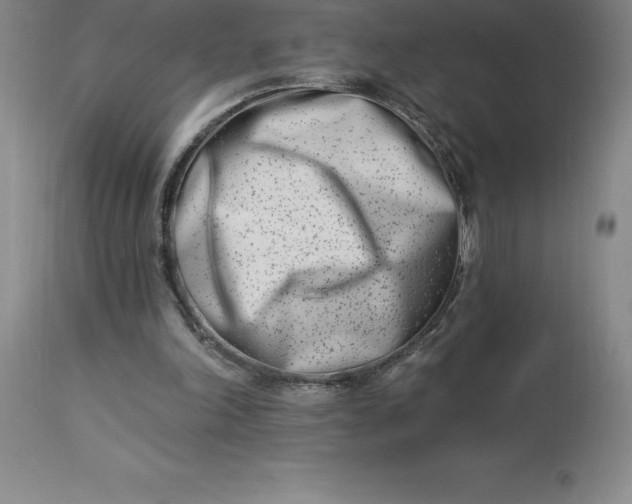 X0000113120198200909111148