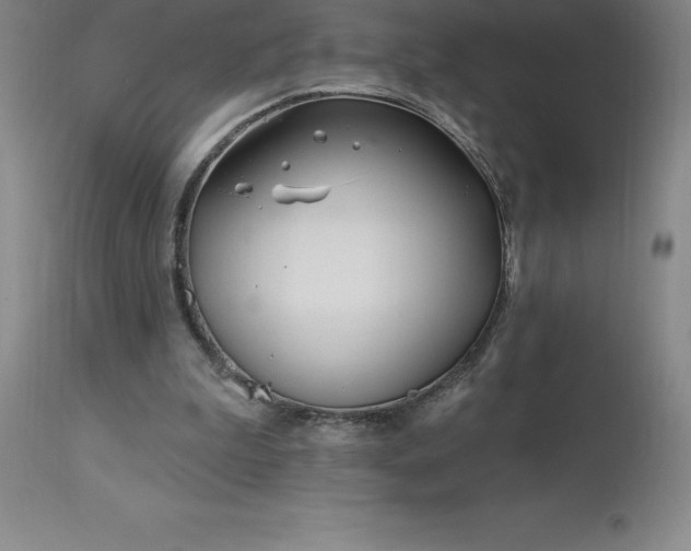 X0000113120199200909111148