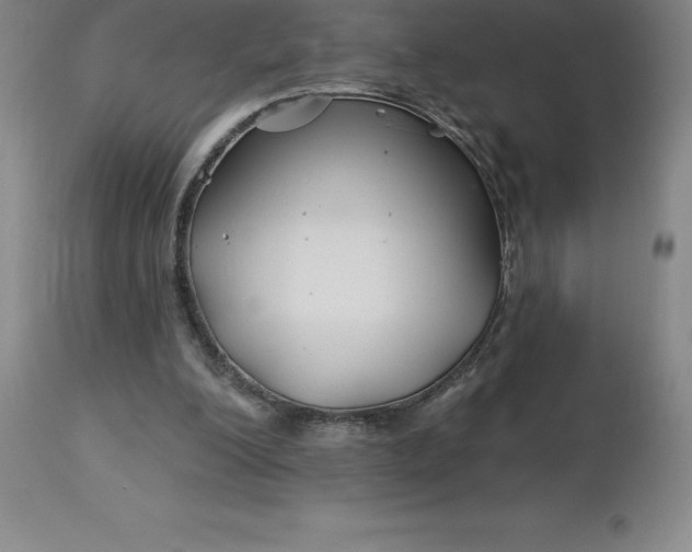 X0000113120200200909111148