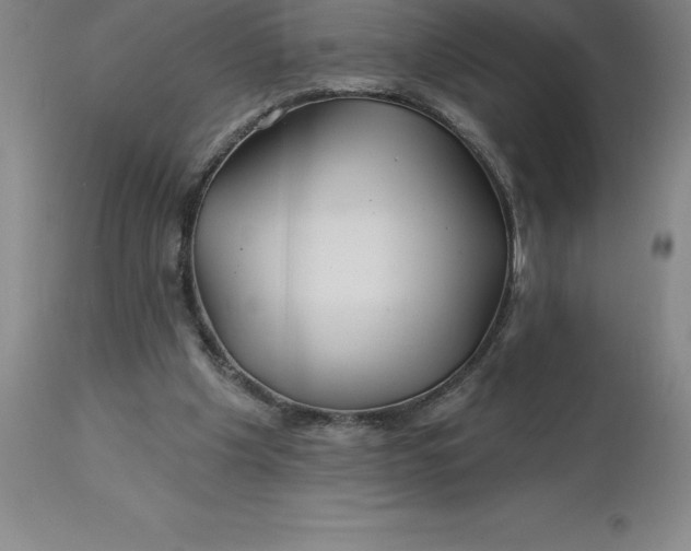 X0000113120201200909111148