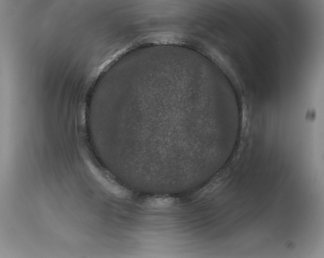 X0000113120202200909111148