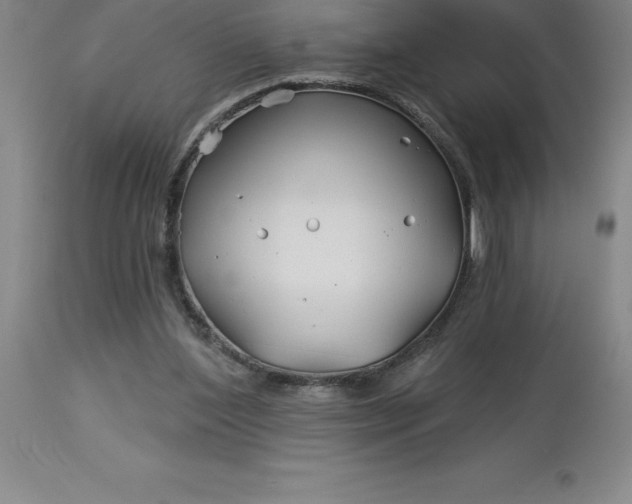 X0000113120204200909111148