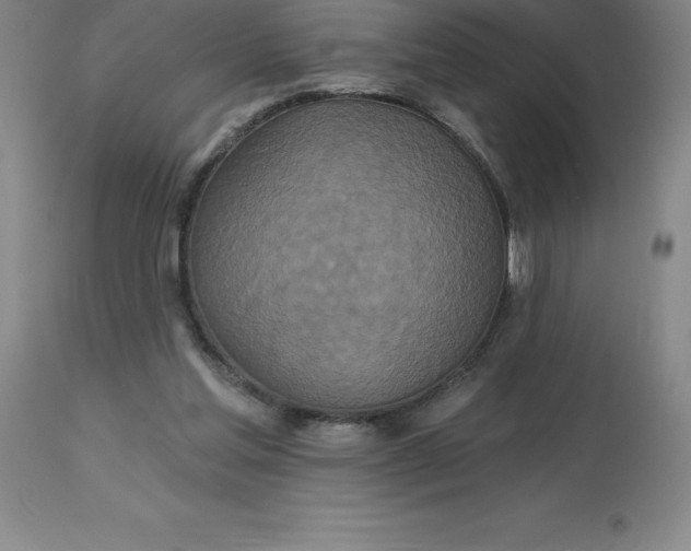 X0000113120205200909111148