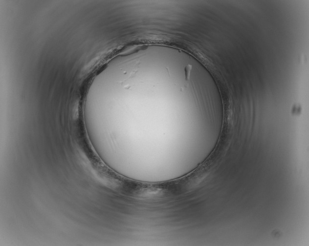 X0000113120206200909111148