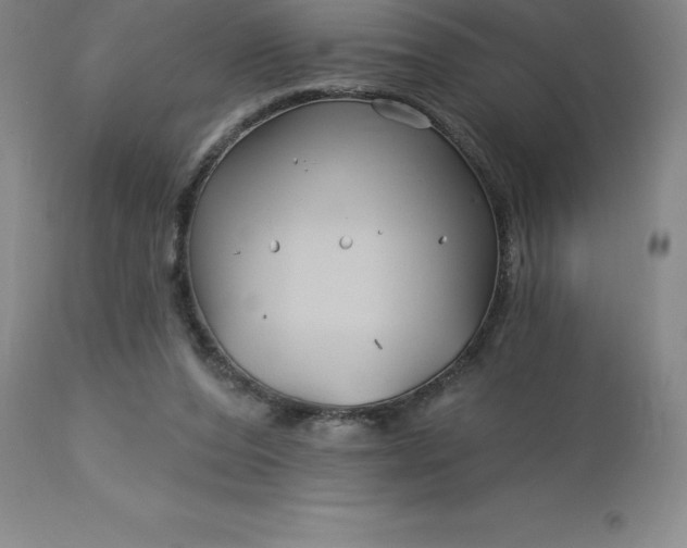 X0000113120208200909111147