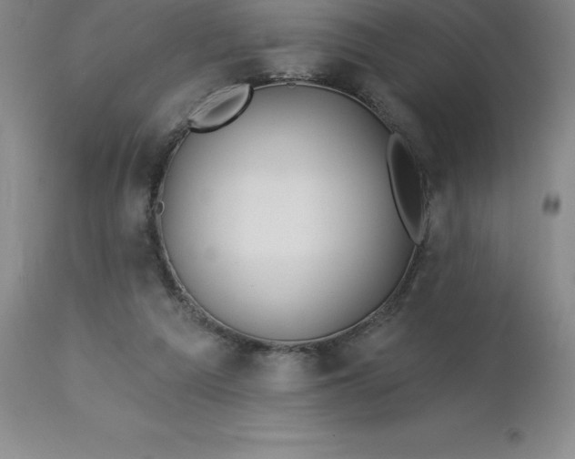 X0000113120209200909111147