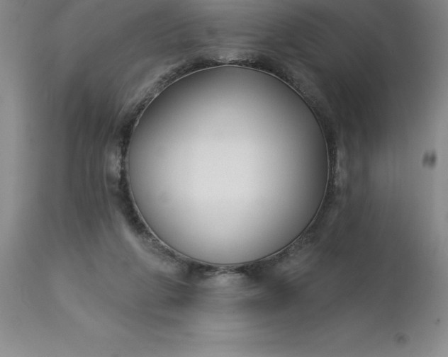 X0000113120210200909111147