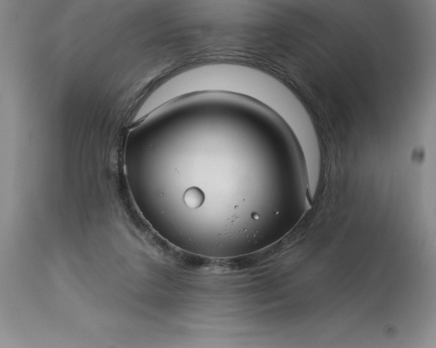 X0000113120211200909111147