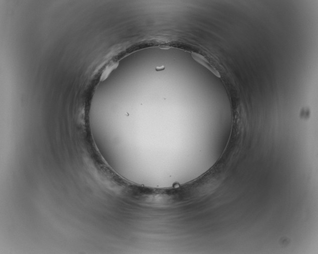 X0000113120212200909111147