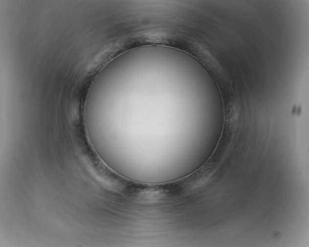 X0000113120213200909111147