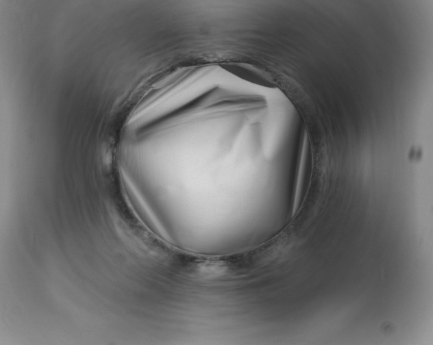 X0000113120214200909111147