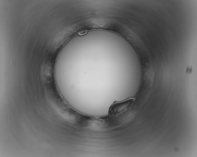 X0000113120215200909111147