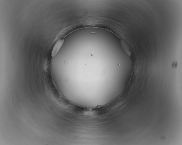 X0000113120216200909111147