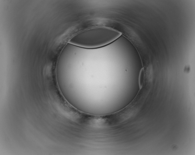 X0000113120217200909111147