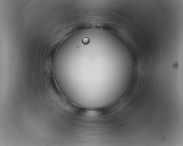 X0000113120218200909111147