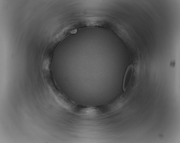 X0000113120219200909111147