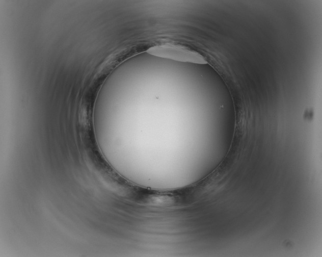 X0000113120220200909111147