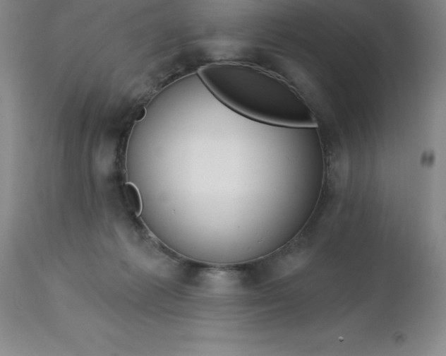 X0000113120221200909111147