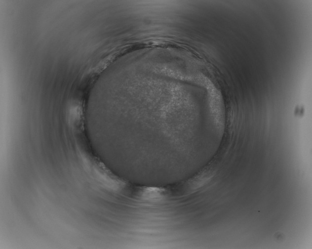 X0000113120222200909111147