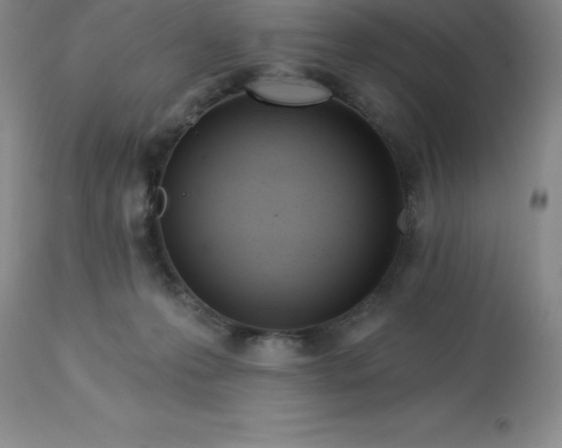 X0000113120223200909111147