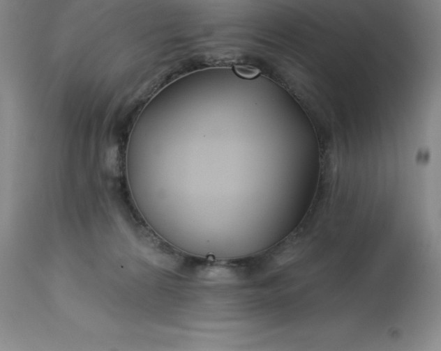 X0000113120224200909111147