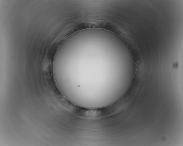 X0000113120225200909111147