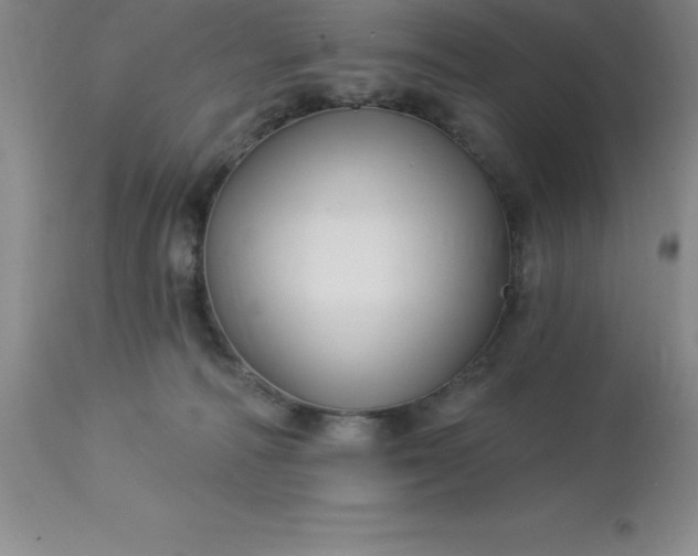 X0000113120226200909111147