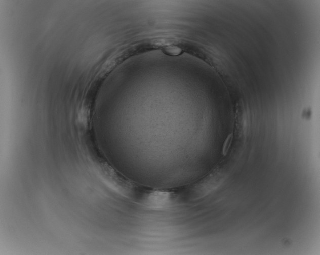 X0000113120227200909111147