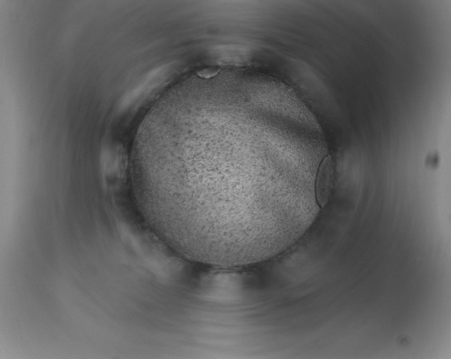 X0000113120228200909111147